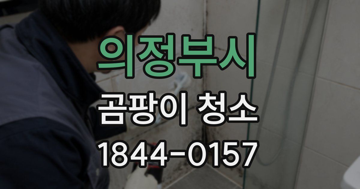 의정부시 곰팡이 청소