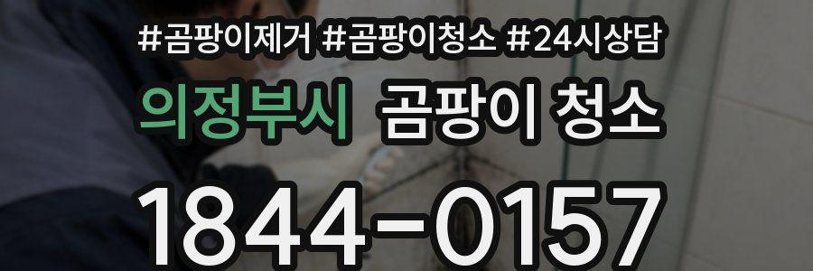 의정부시 곰팡이 청소