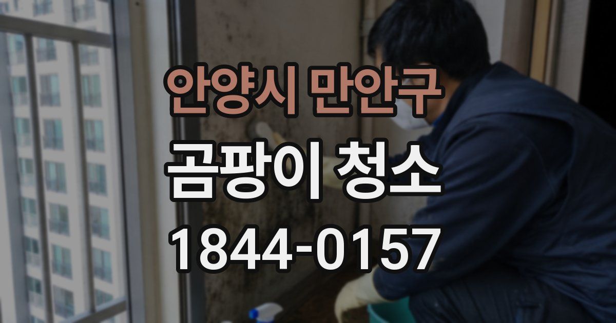 안양시 만안구 곰팡이 청소