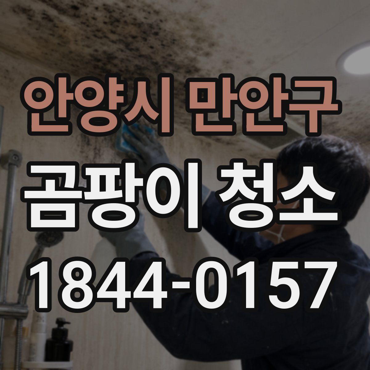안양시 만안구 곰팡이 청소