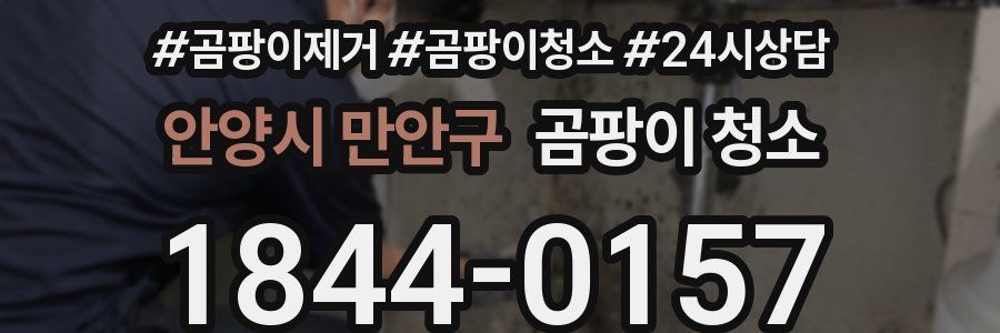 안양시 만안구 곰팡이 청소