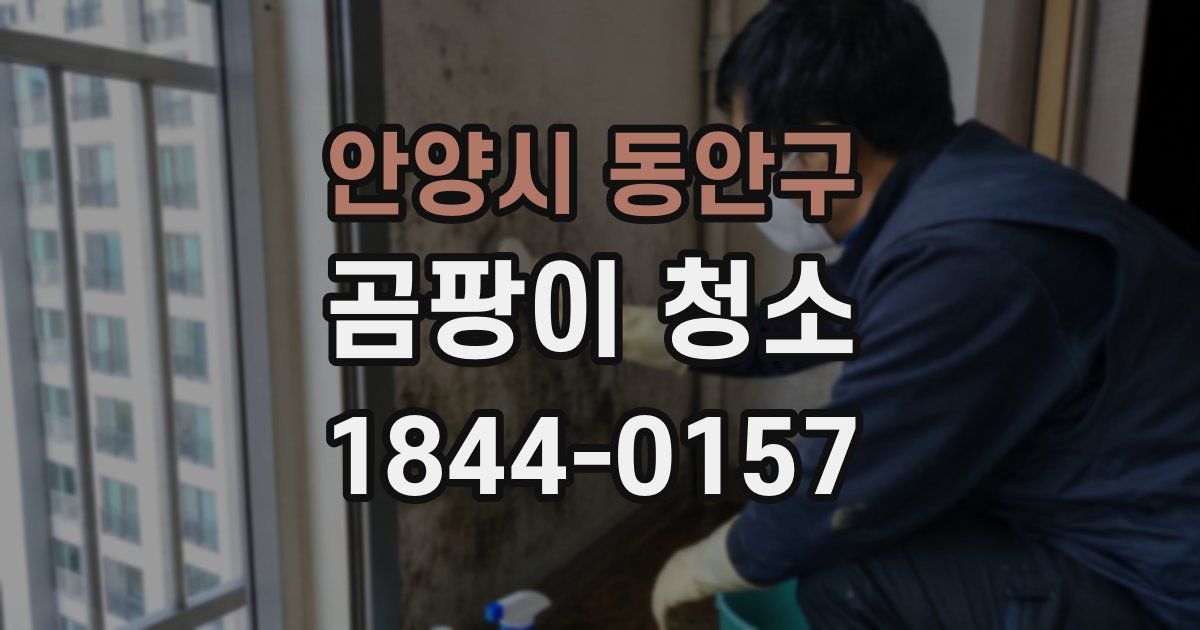 안양시 동안구 곰팡이 청소
