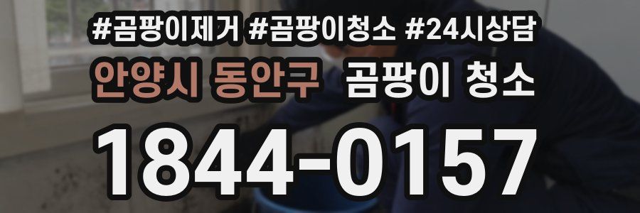 안양시 동안구 곰팡이 청소