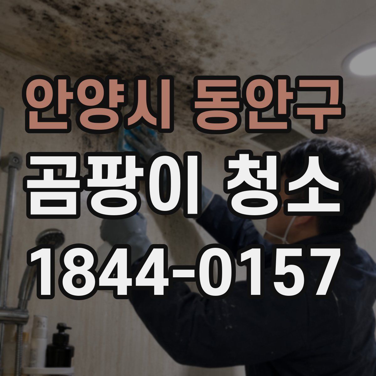안양시 동안구 곰팡이 청소
