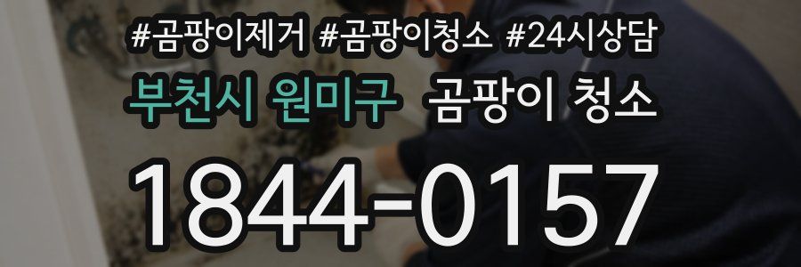 부천시 원미구 곰팡이 청소