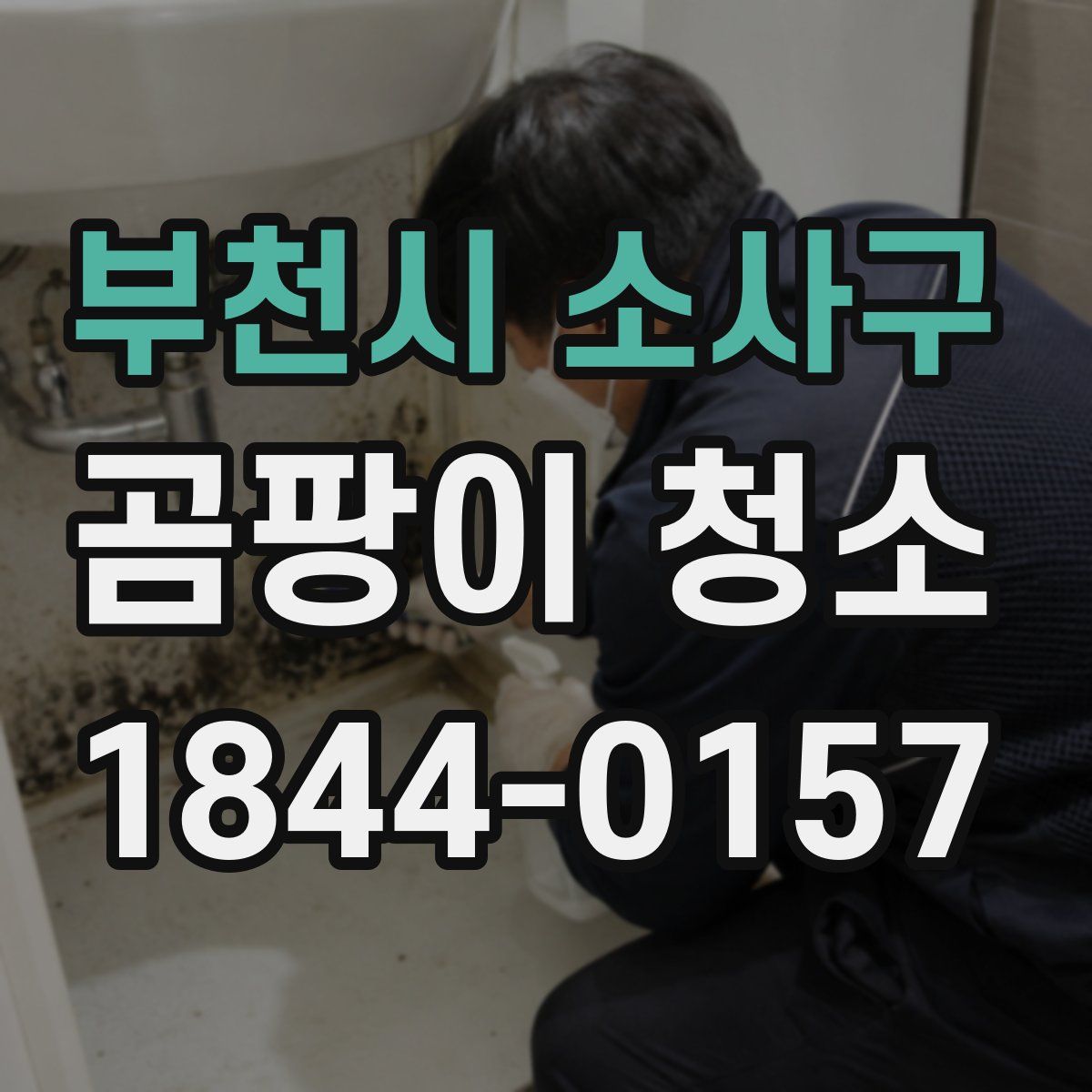 부천시 소사구 곰팡이 청소