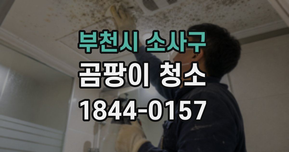 부천시 소사구 곰팡이 청소