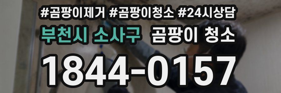 부천시 소사구 곰팡이 청소