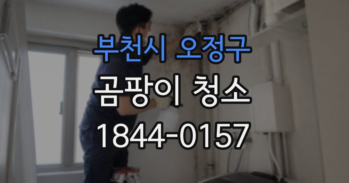 부천시 오정구 곰팡이 청소
