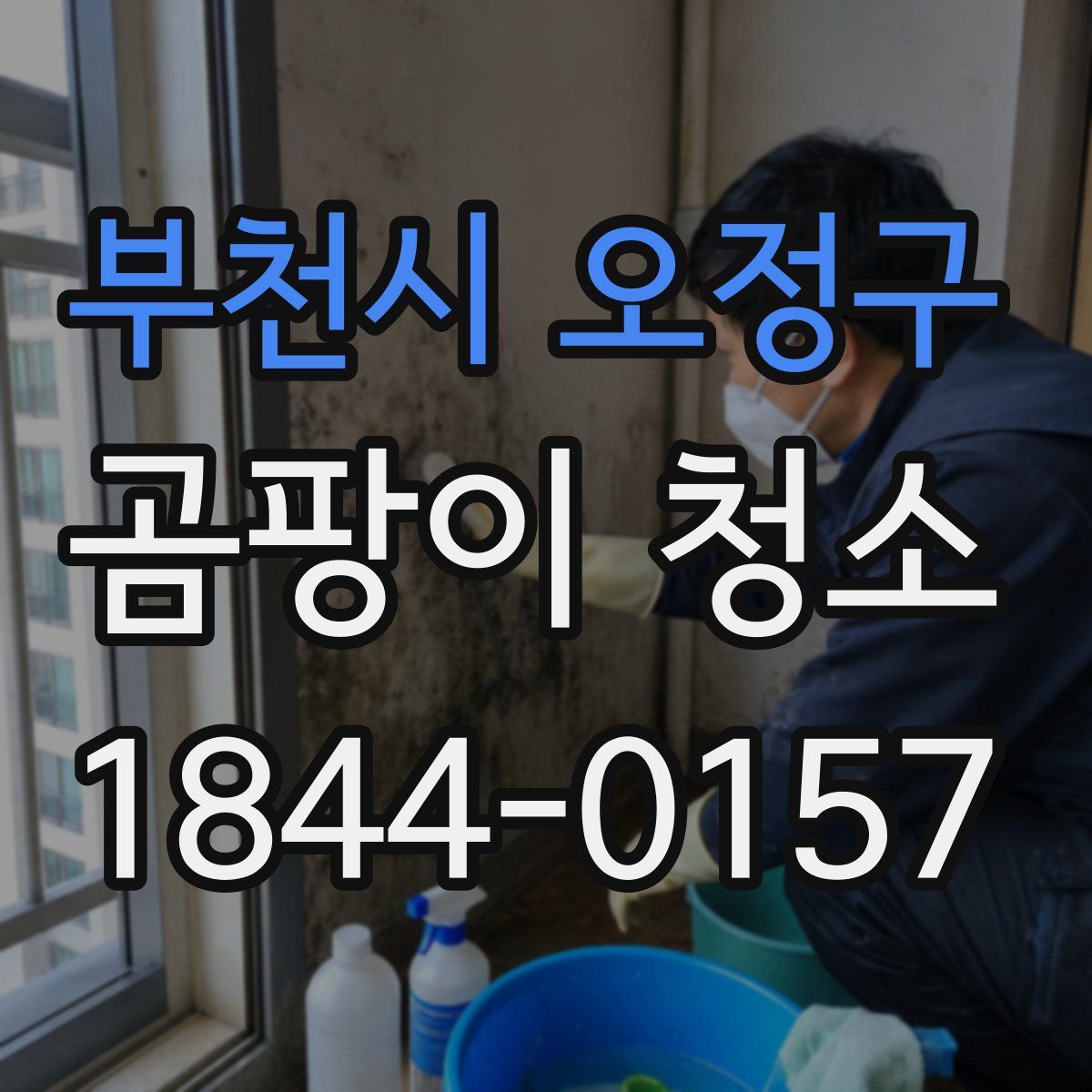 부천시 오정구 곰팡이 청소