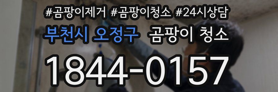 부천시 오정구 곰팡이 청소
