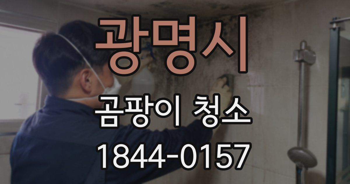 광명시 곰팡이 청소
