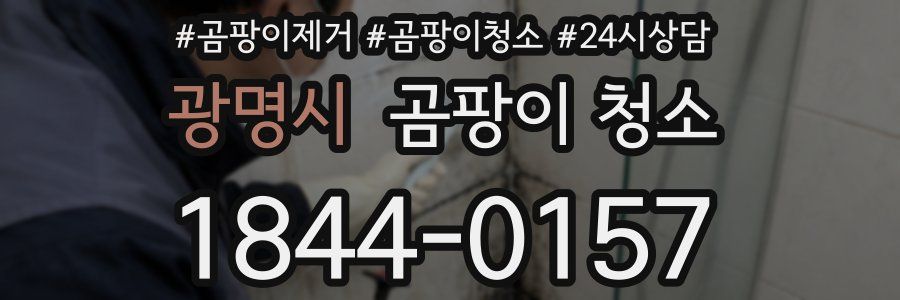 광명시 곰팡이 청소