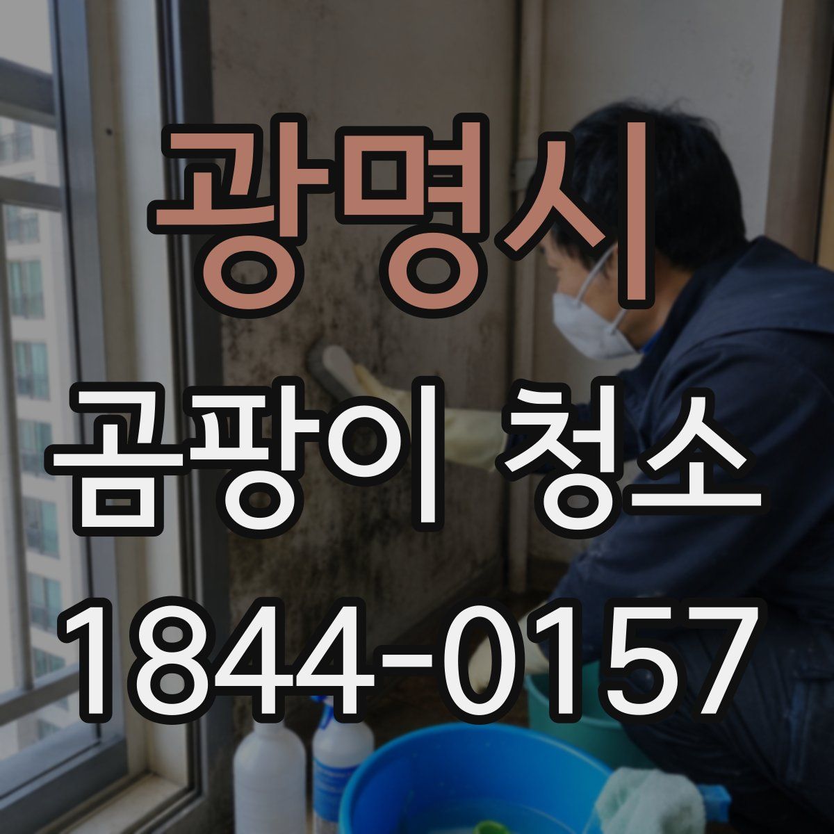 광명시 곰팡이 청소