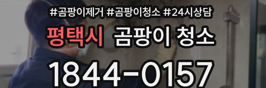 평택시 곰팡이 청소