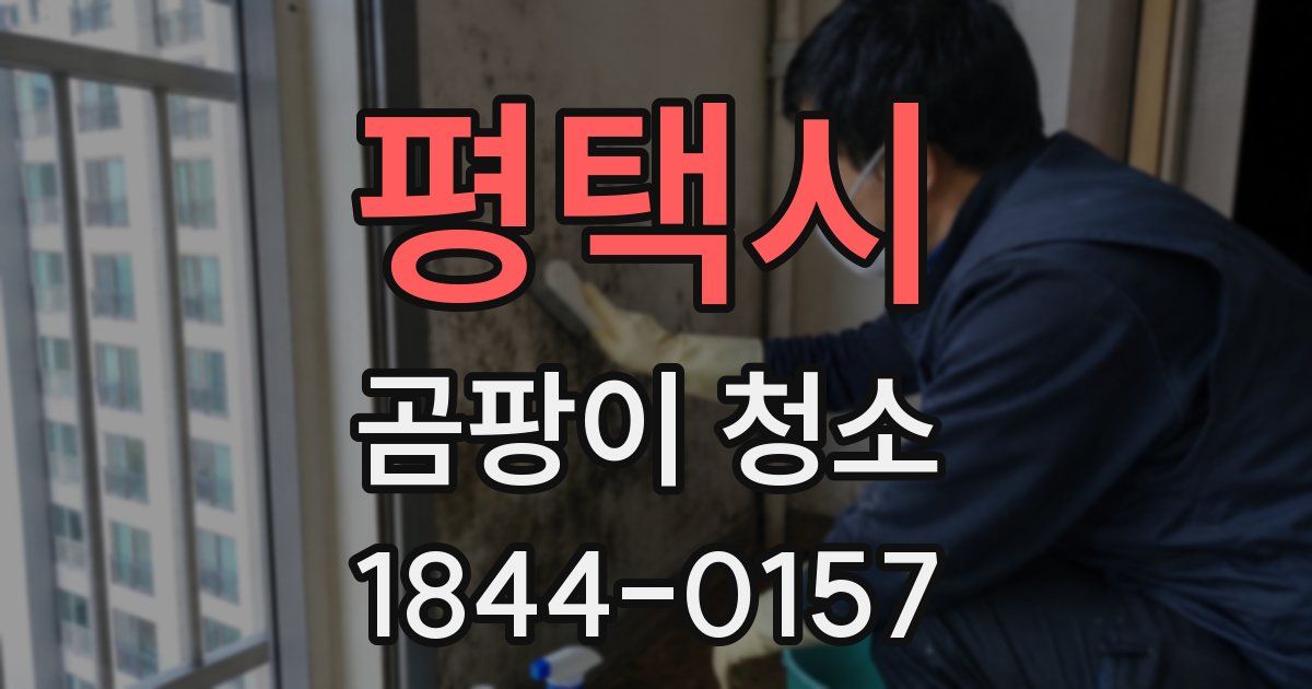 평택시 곰팡이 청소