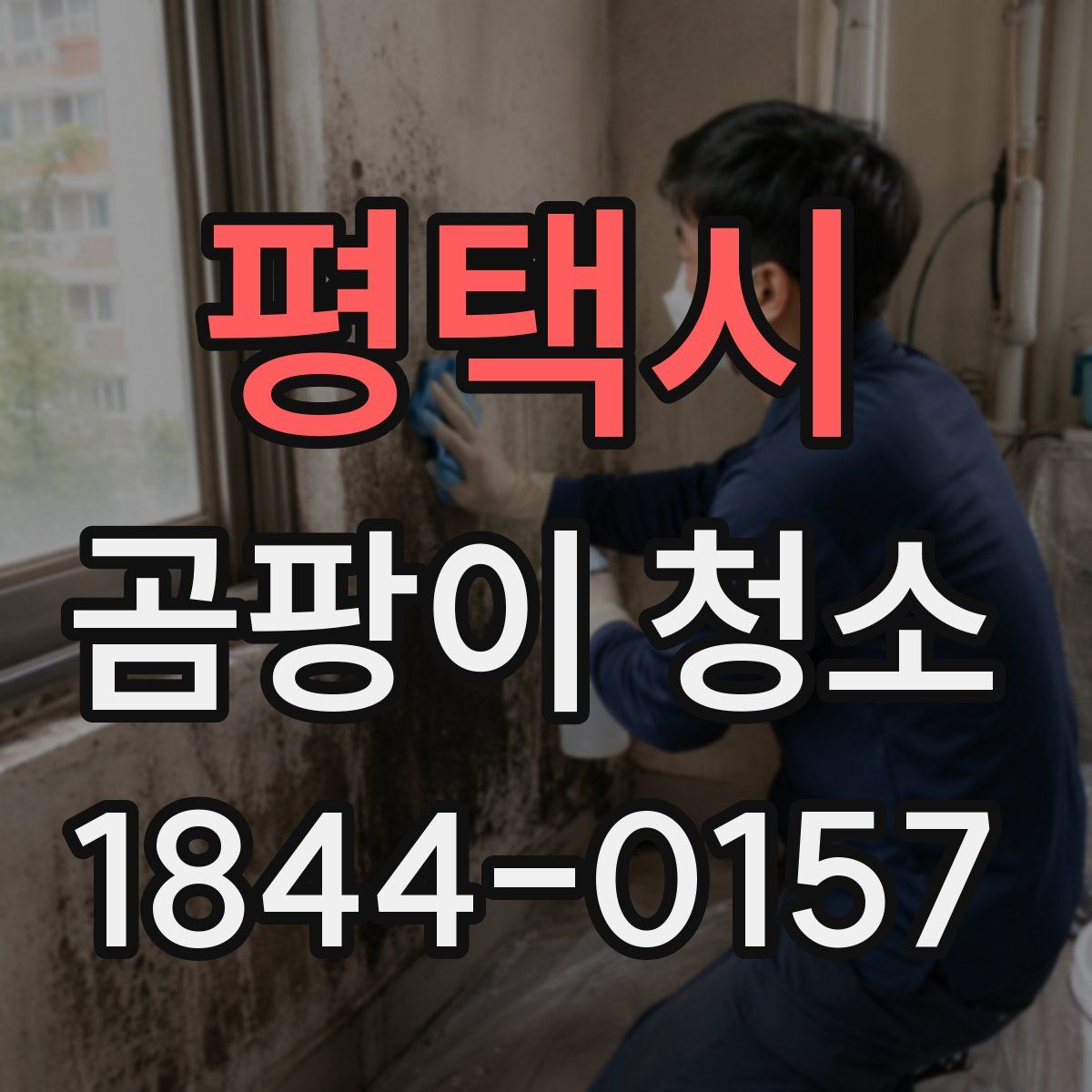 평택시 곰팡이 청소