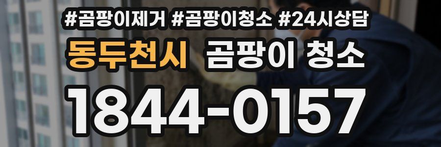 동두천시 곰팡이 청소