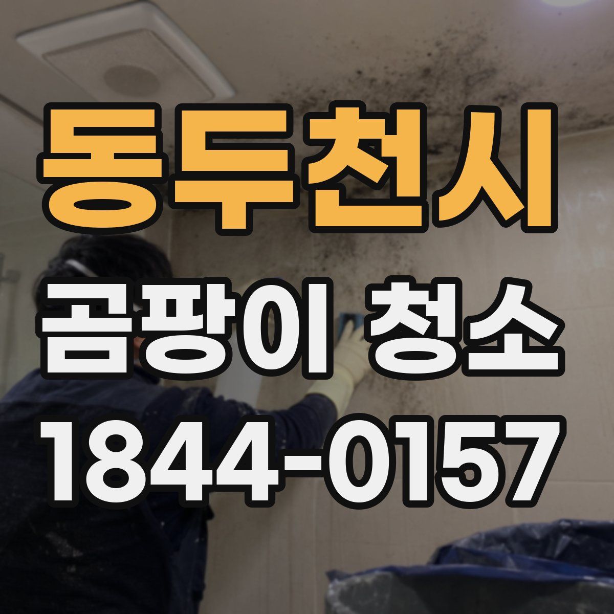 동두천시 곰팡이 청소