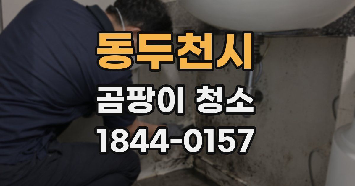 동두천시 곰팡이 청소