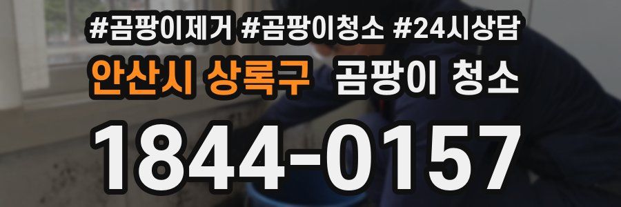 안산시 상록구 곰팡이 청소
