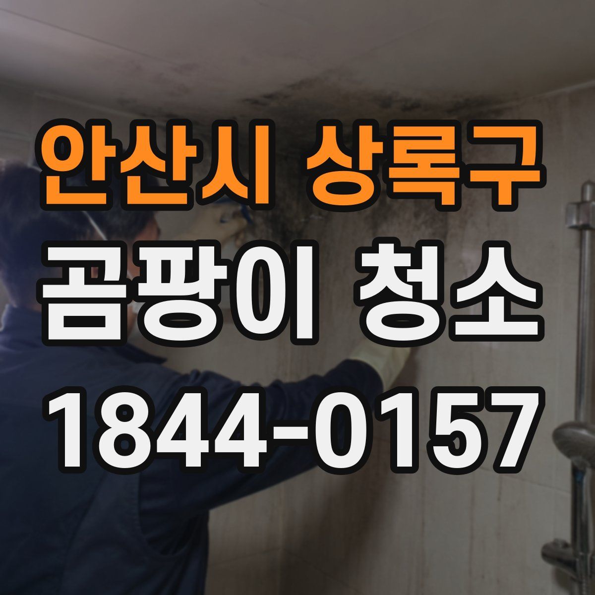 안산시 상록구 곰팡이 청소