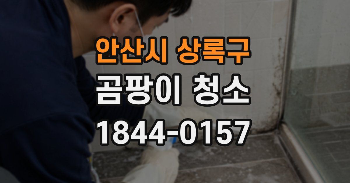 안산시 상록구 곰팡이 청소