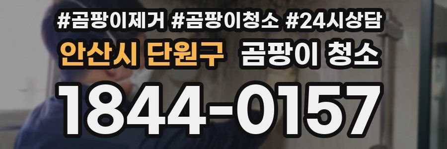 안산시 단원구 곰팡이 청소