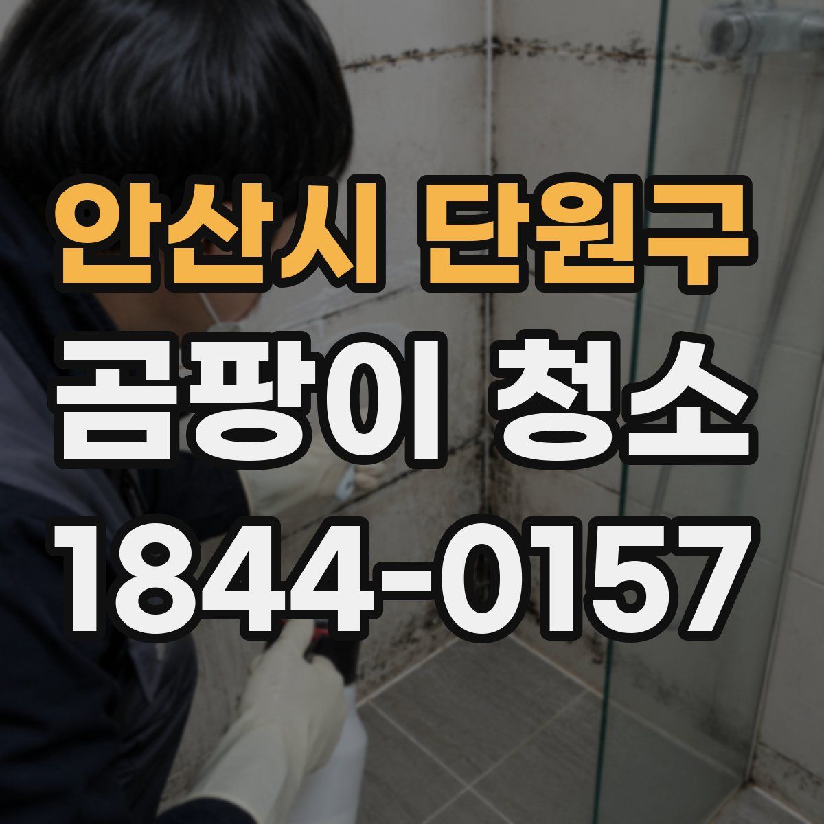 안산시 단원구 곰팡이 청소