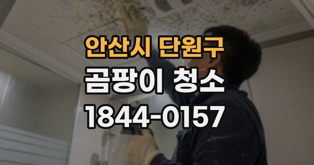 안산시 단원구 곰팡이 청소