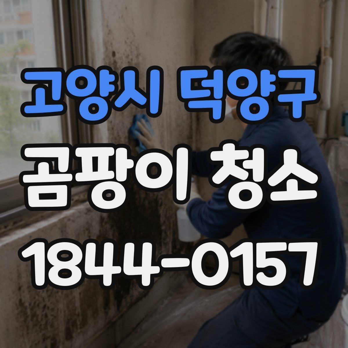 고양시 덕양구 곰팡이 청소 제거제 사용 전 마감재 안전을 보는 법