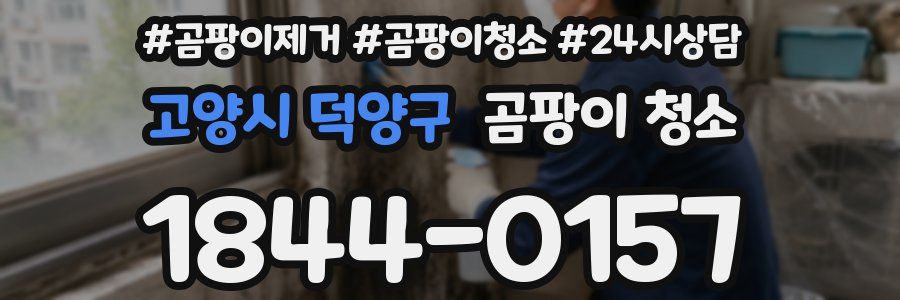 고양시 덕양구 곰팡이 청소