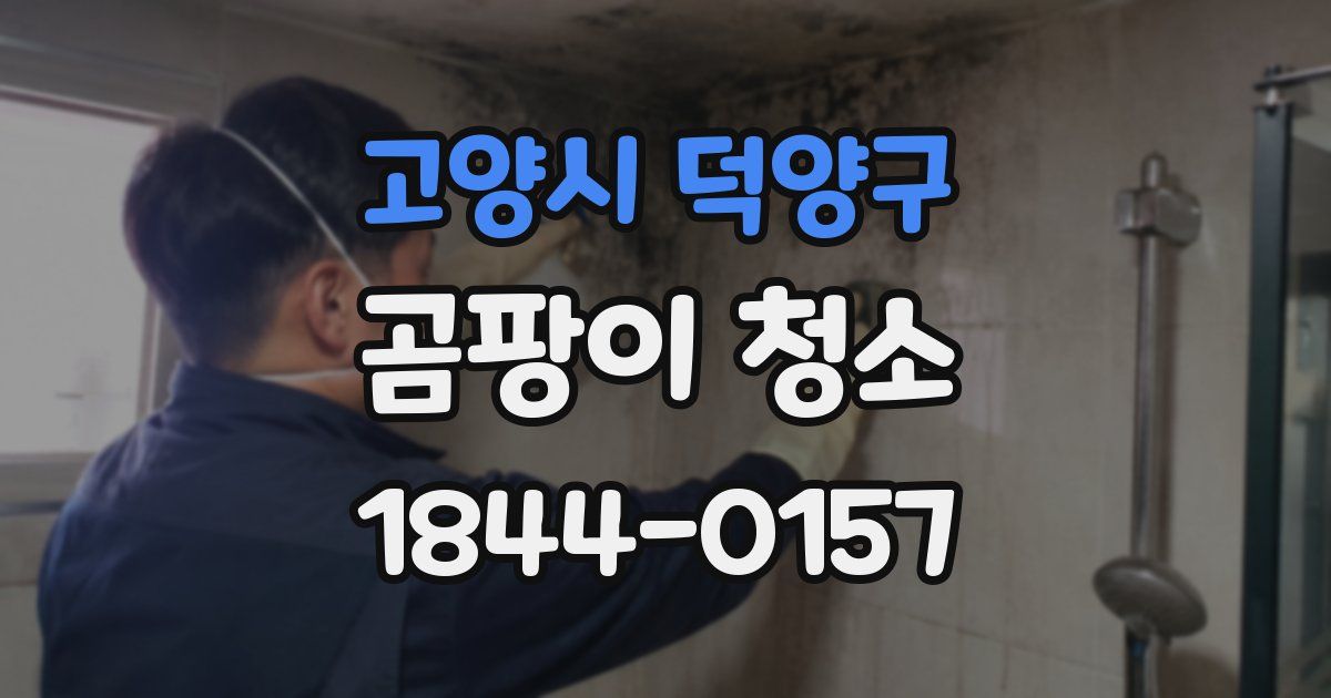 고양시 덕양구 곰팡이 청소