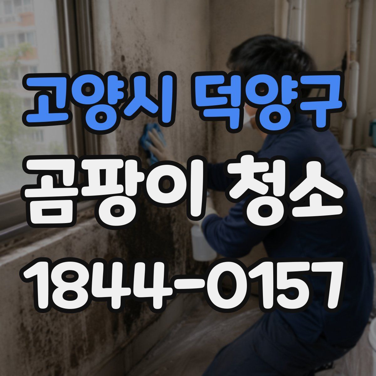 고양시 덕양구 곰팡이 청소
