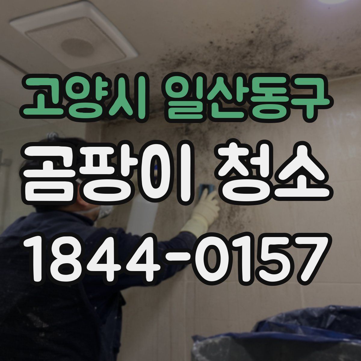 고양시 일산동구 곰팡이 청소