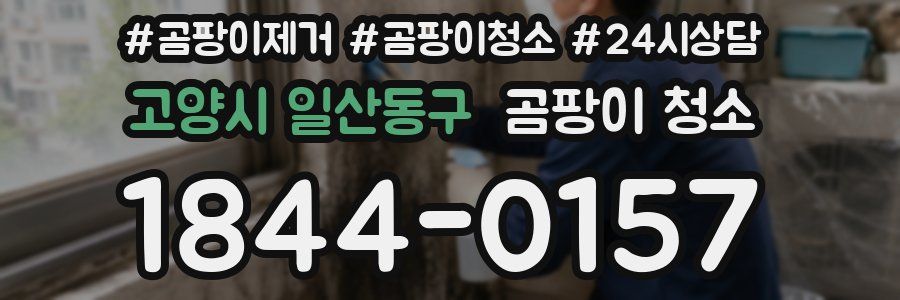 고양시 일산동구 곰팡이 청소