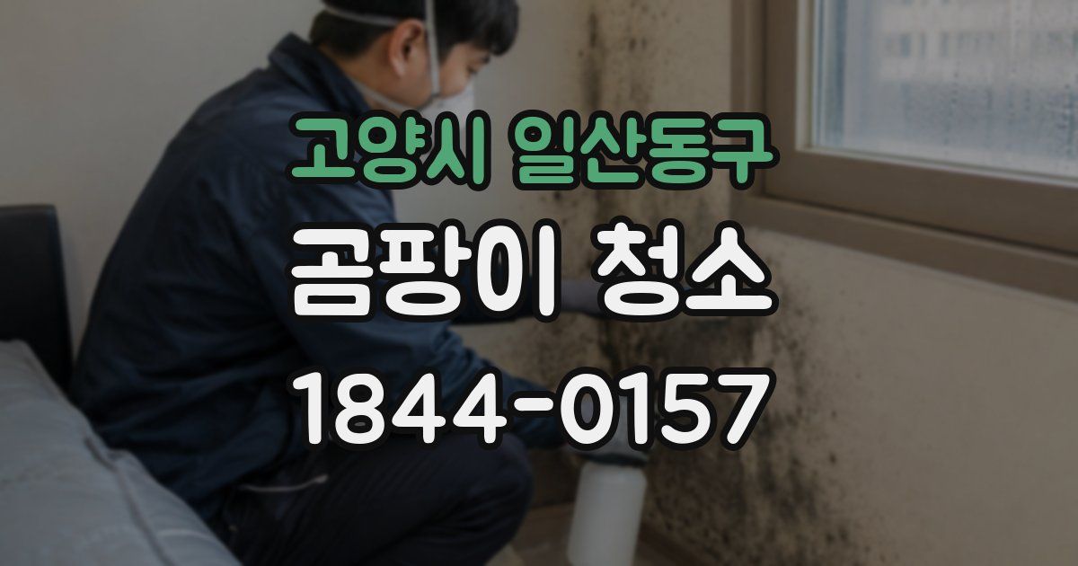 고양시 일산동구 곰팡이 청소