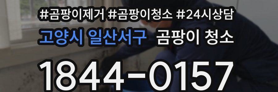 고양시 일산서구 곰팡이 청소