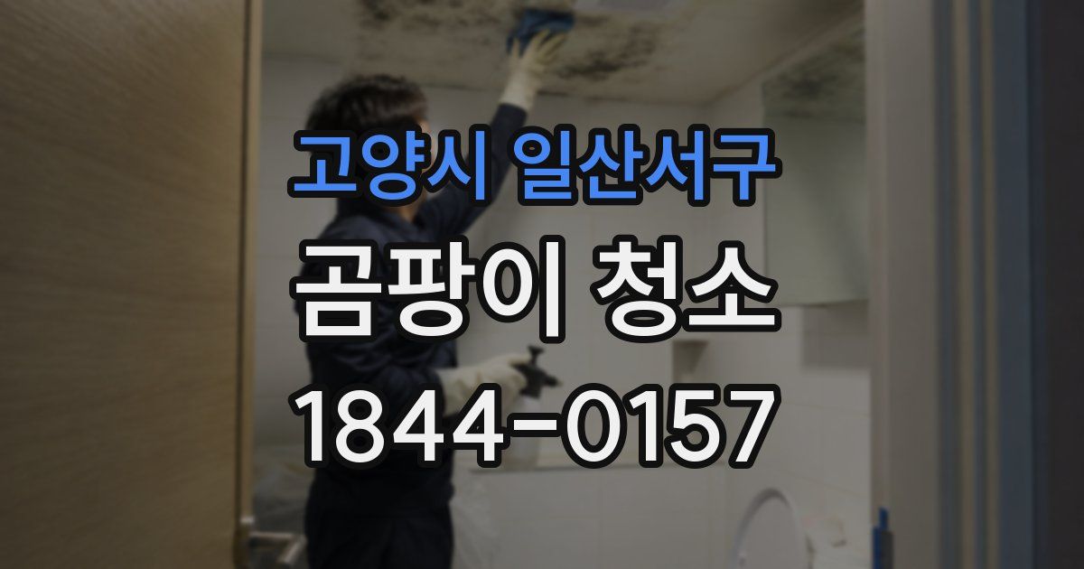 고양시 일산서구 곰팡이 청소