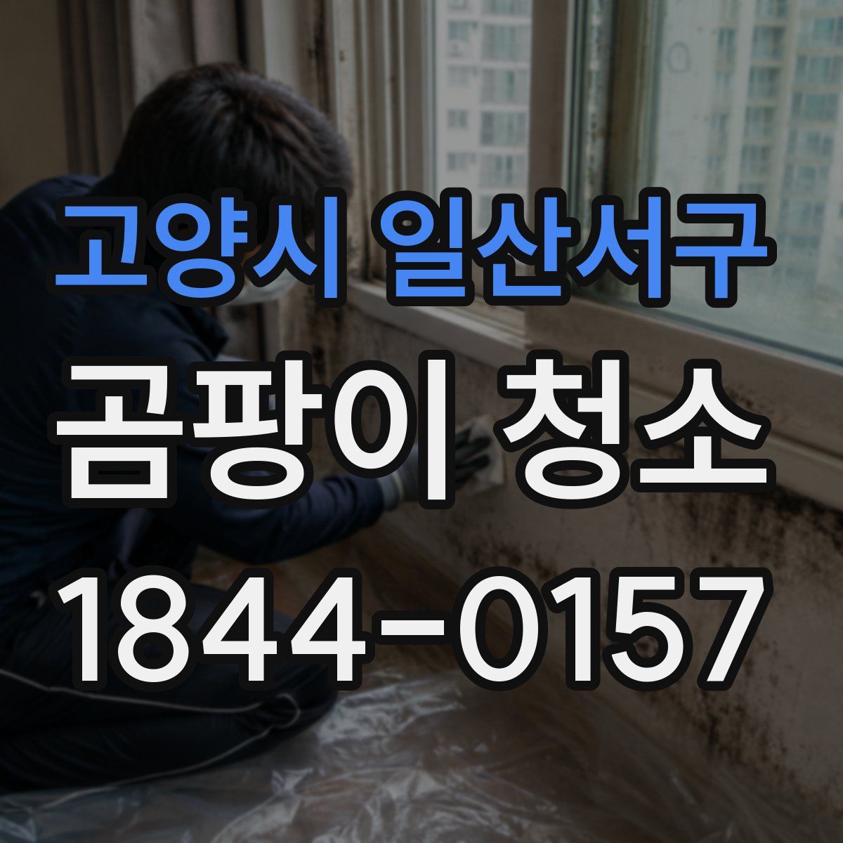 고양시 일산서구 곰팡이 청소