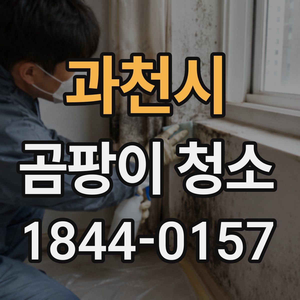 과천시 곰팡이 청소
