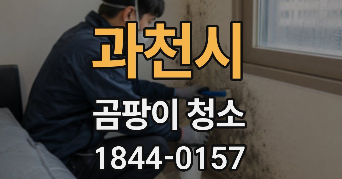 과천시 곰팡이 청소