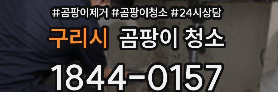 구리시 곰팡이 청소