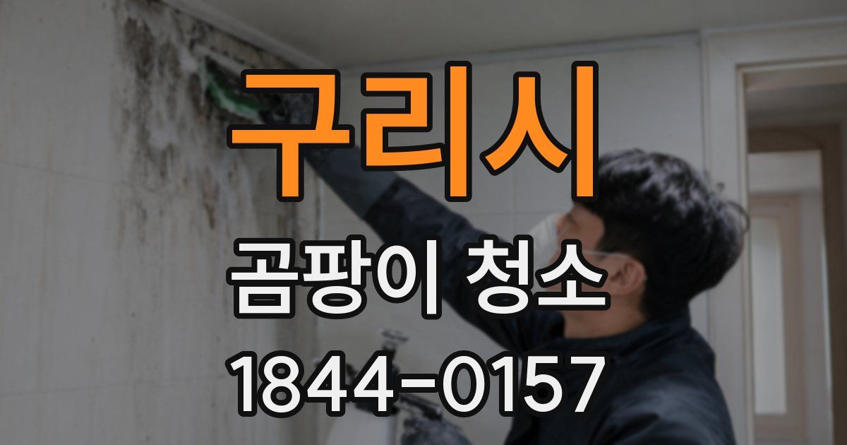 구리시 곰팡이 청소