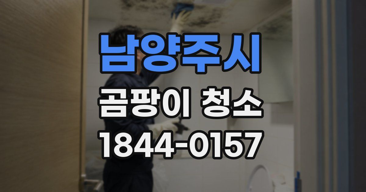 남양주시 곰팡이 청소