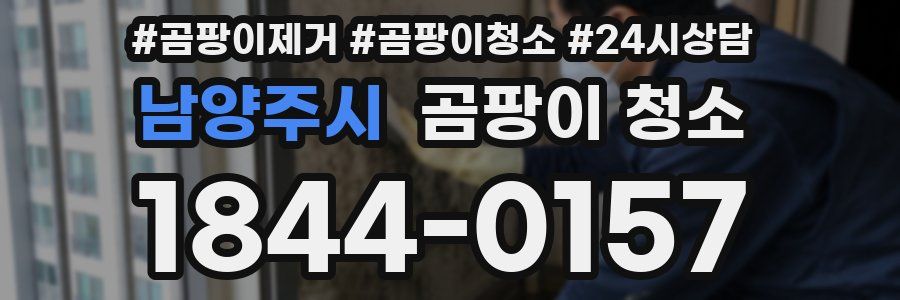 남양주시 곰팡이 청소
