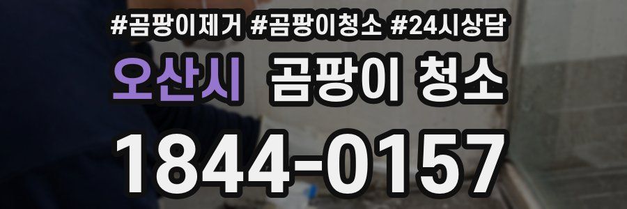 오산시 곰팡이 청소