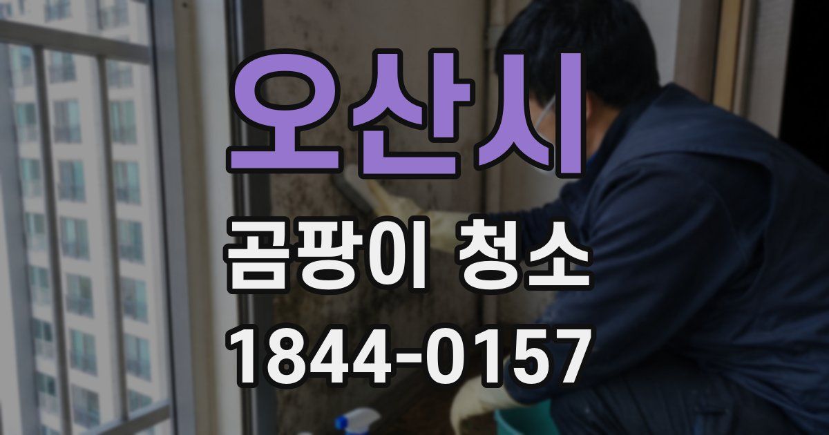 오산시 곰팡이 청소