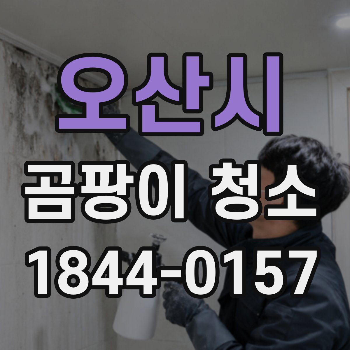 오산시 곰팡이 청소