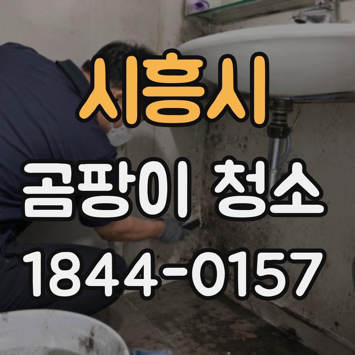 시흥시 곰팡이 청소